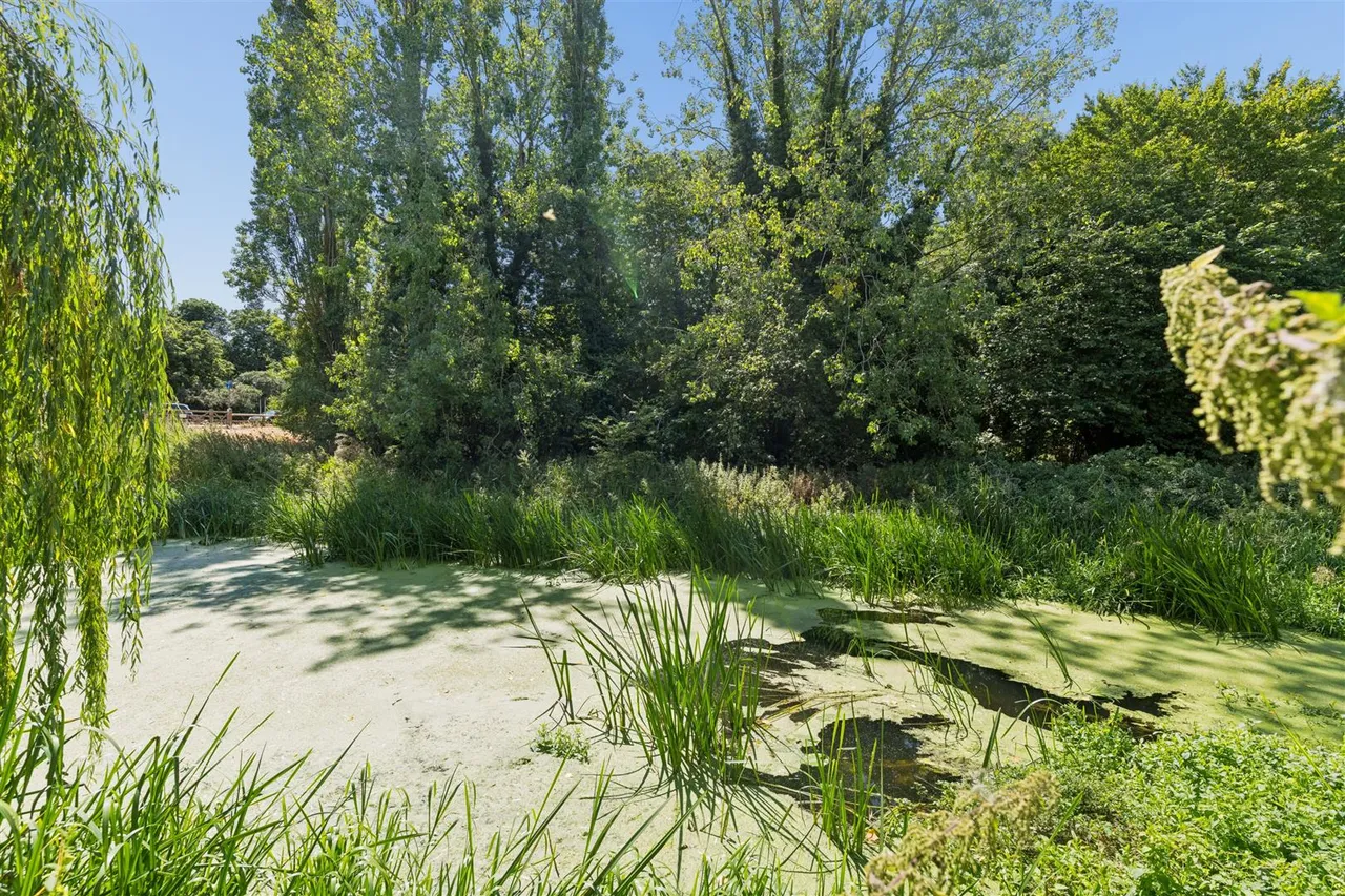 Wagstaff Way, Olney, photo 12