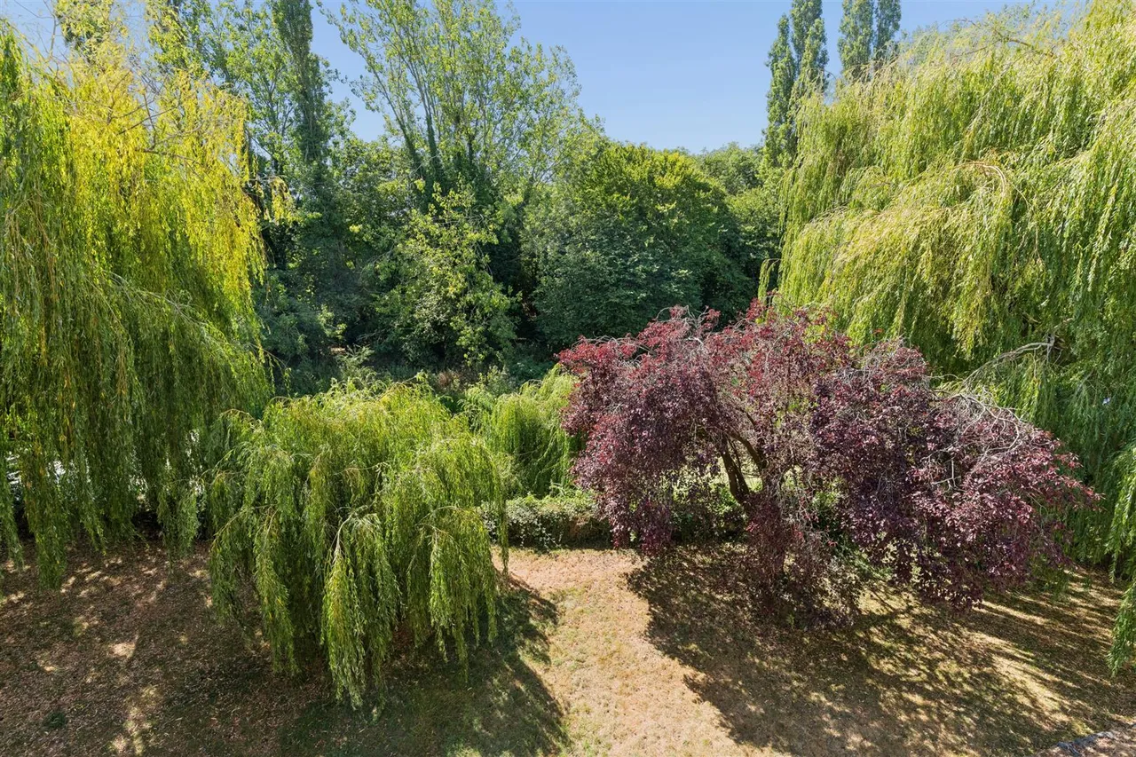 Wagstaff Way, Olney, photo 13
