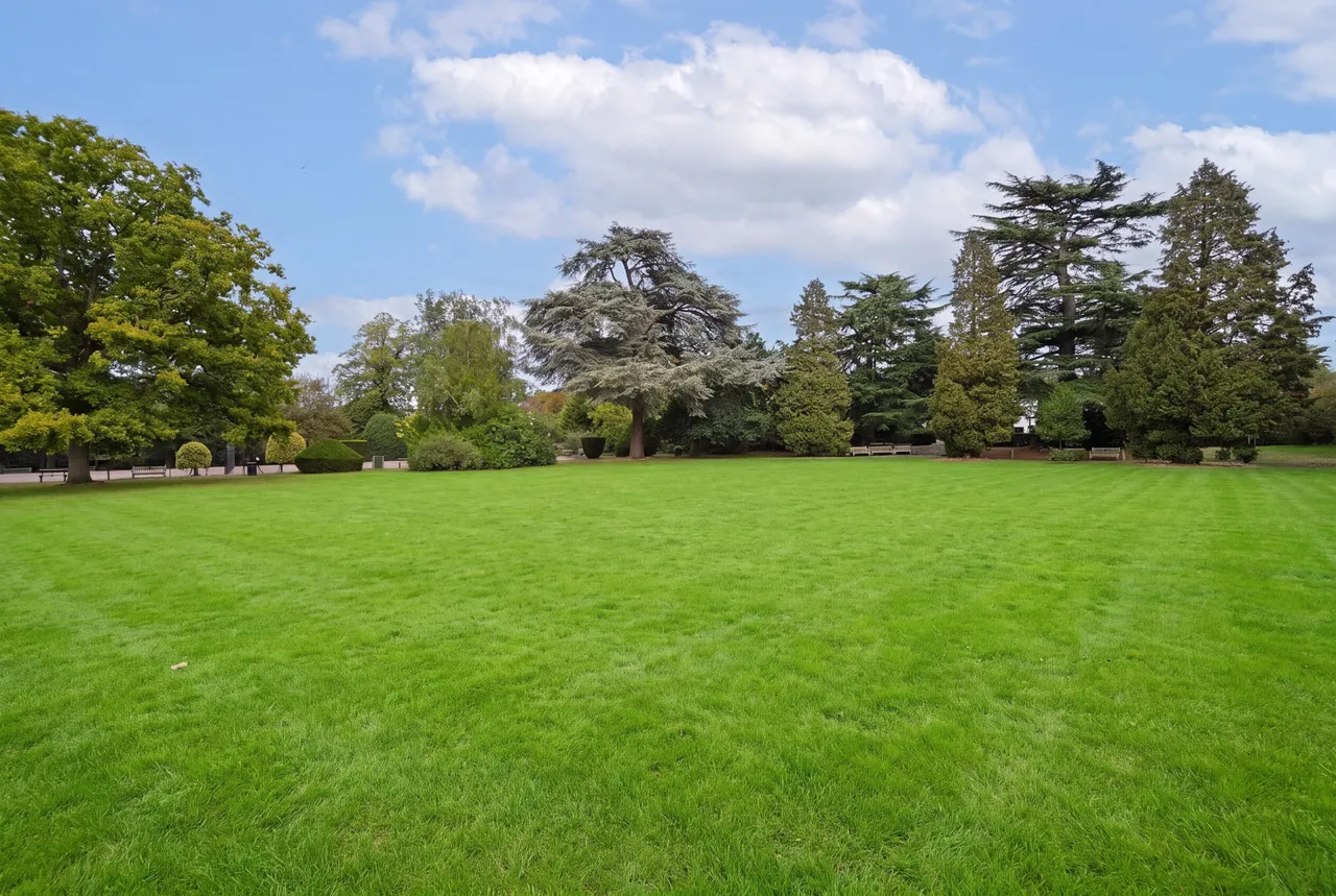 Bocking End, Bocking, CM7, photo 34