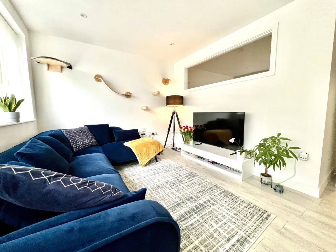Vanwall Road, Maidenhead, SL6, photo 4