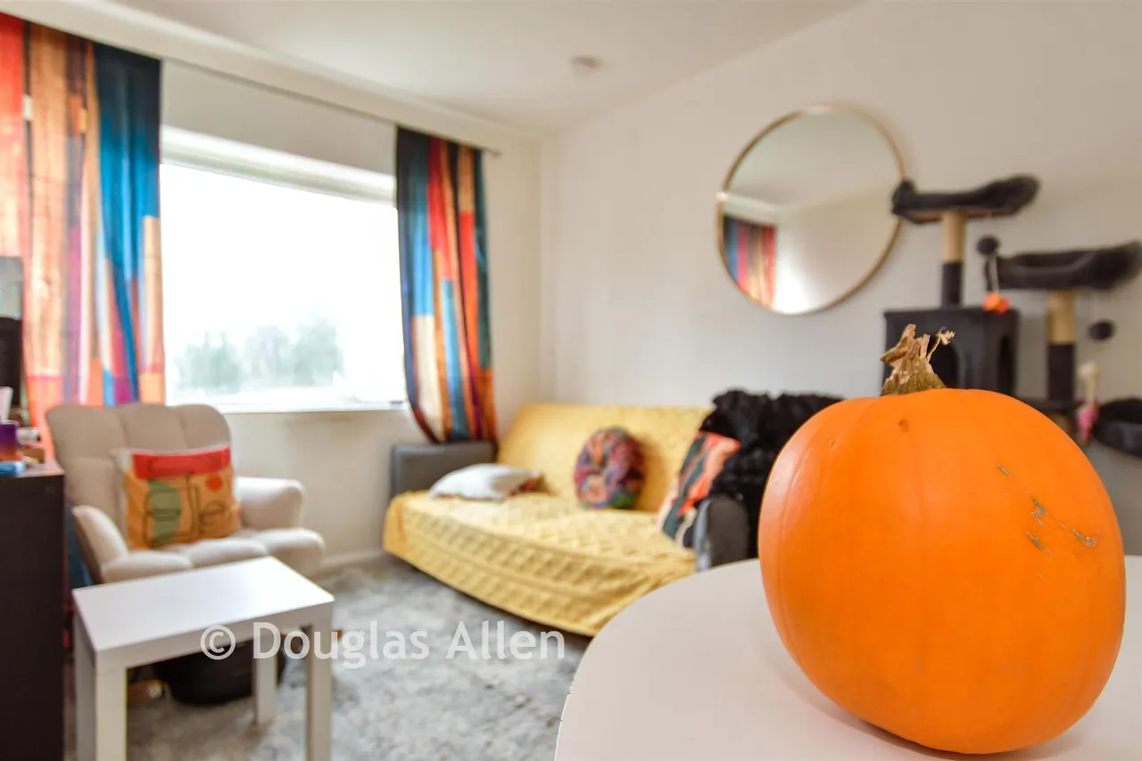 Skeltons Lane, Leyton, E10, photo 4