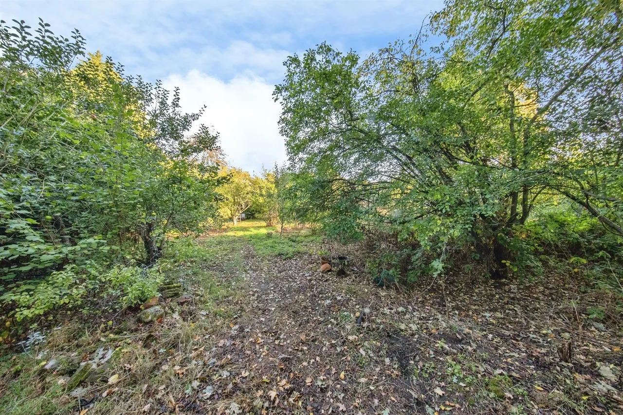 High Road, Leavenheath, CO6, photo 22