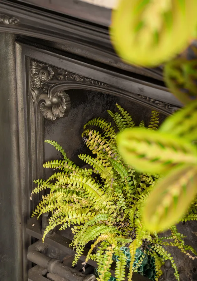 Beaufort East, Bath, BA1, photo 19