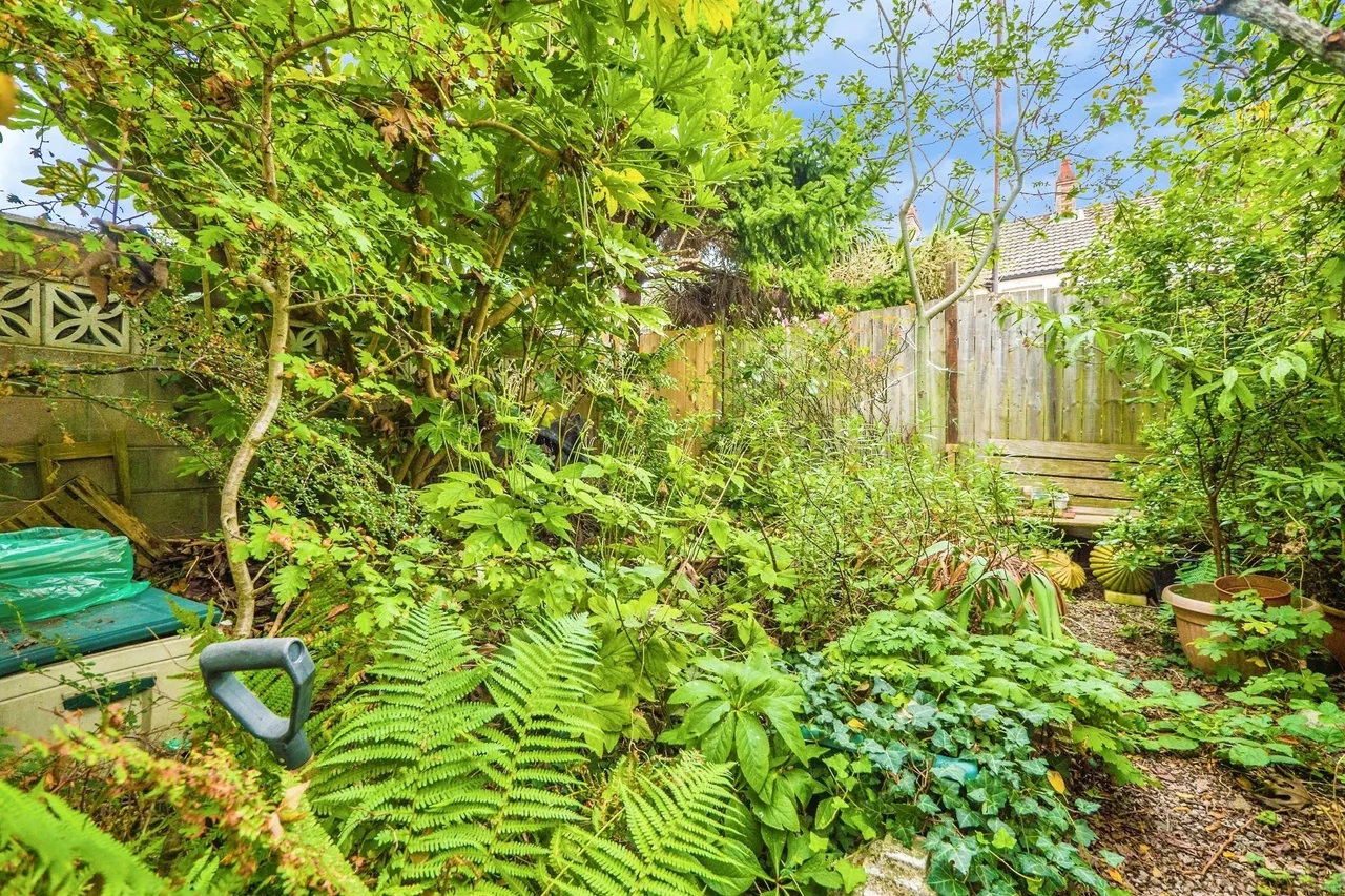 Arthur Street, Roath, CF24, photo 17