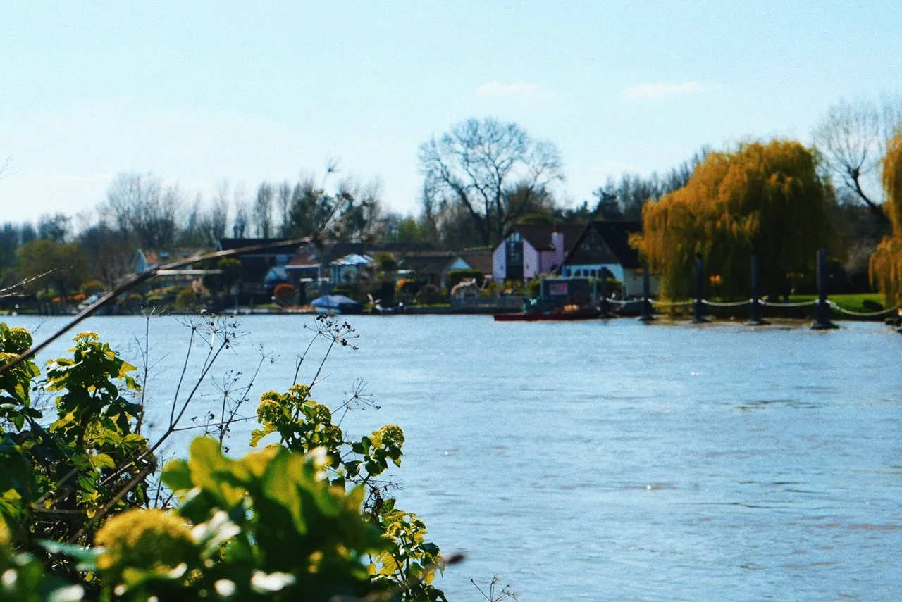 Ashley Road, Walton-on-Thames, KT12, photo 10