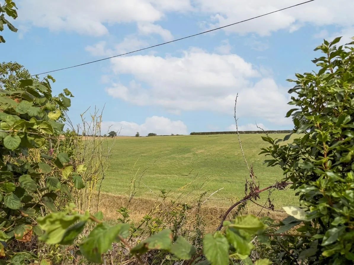 Christmas Lane, Metfield, IP20, photo 23