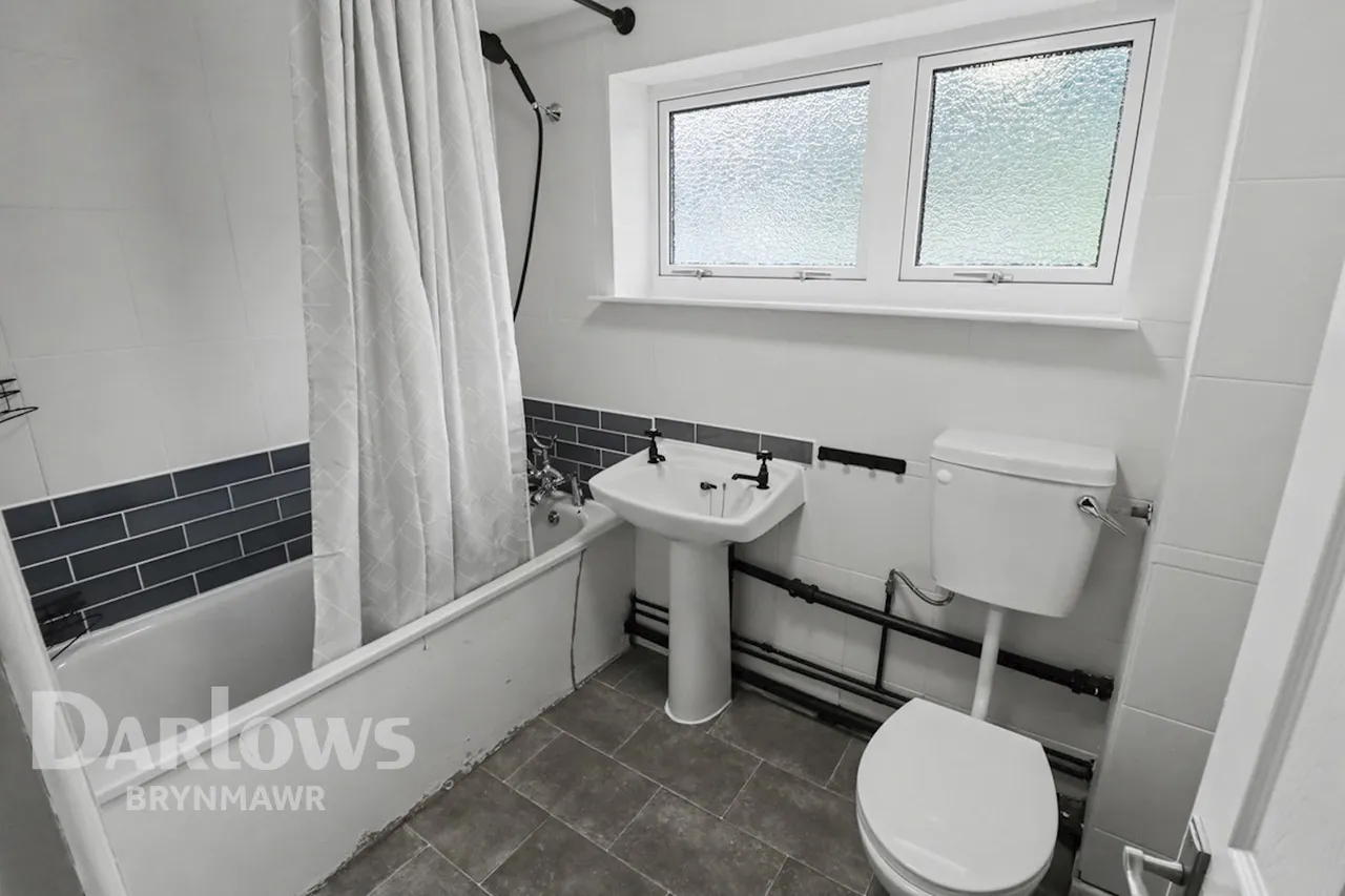 Parc Bychan, Ebbw Vale, photo 11