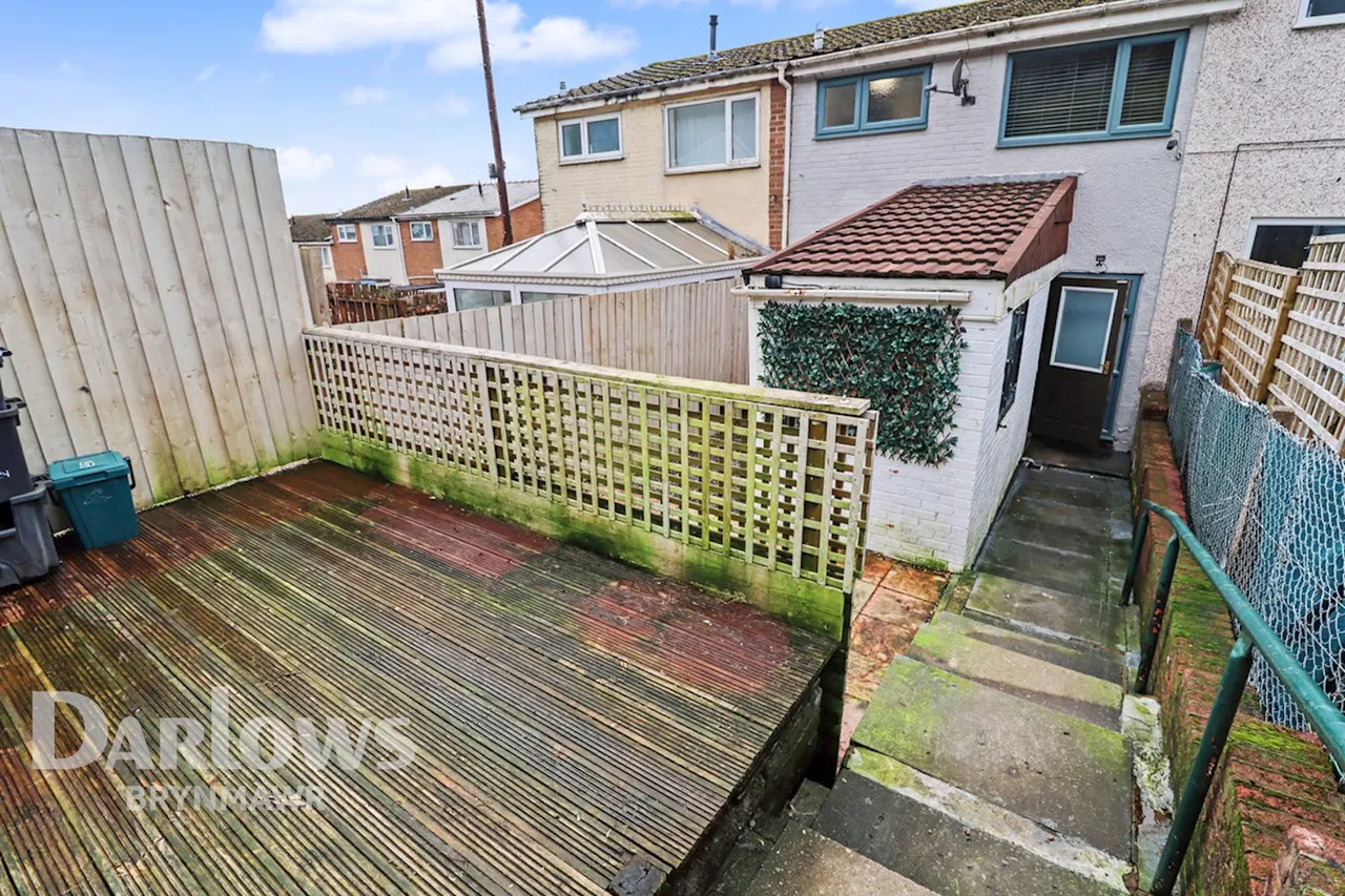 Parc Bychan, Ebbw Vale, photo 12