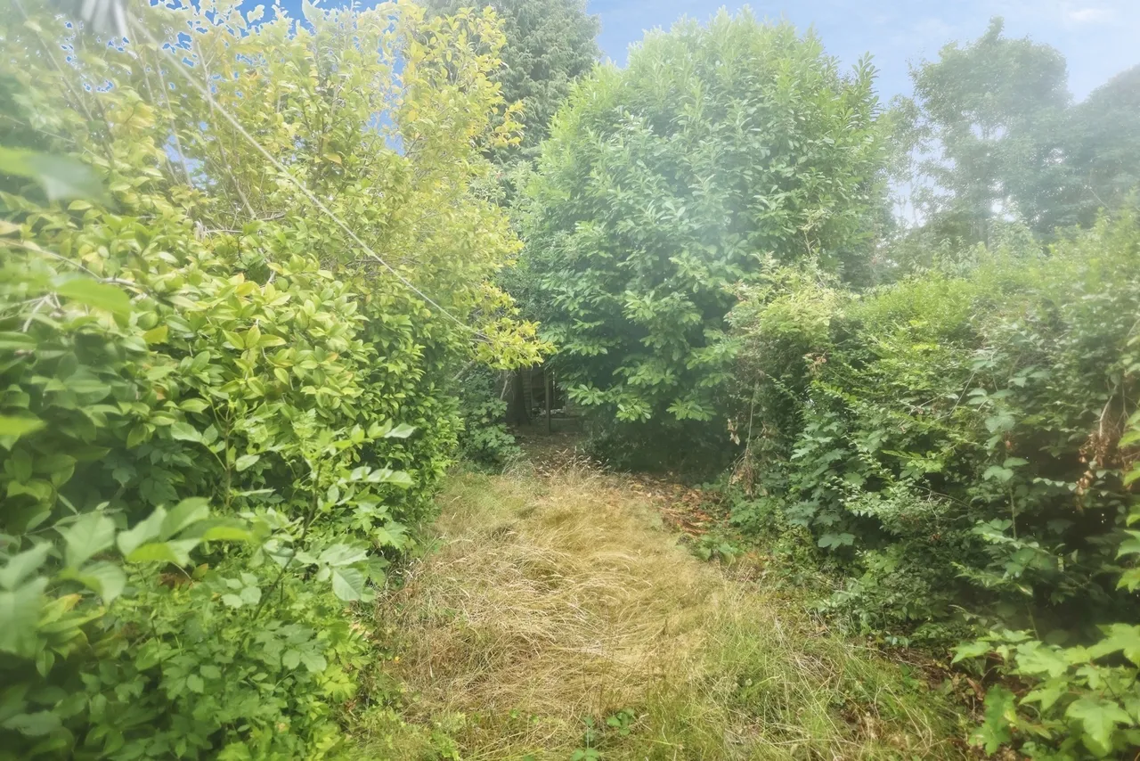 Corisande Road, Birmingham, B29, photo 6