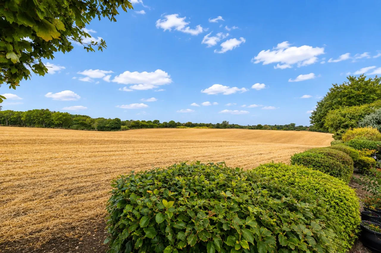Woodstock, Knebworth, SG3 6EA, photo 9