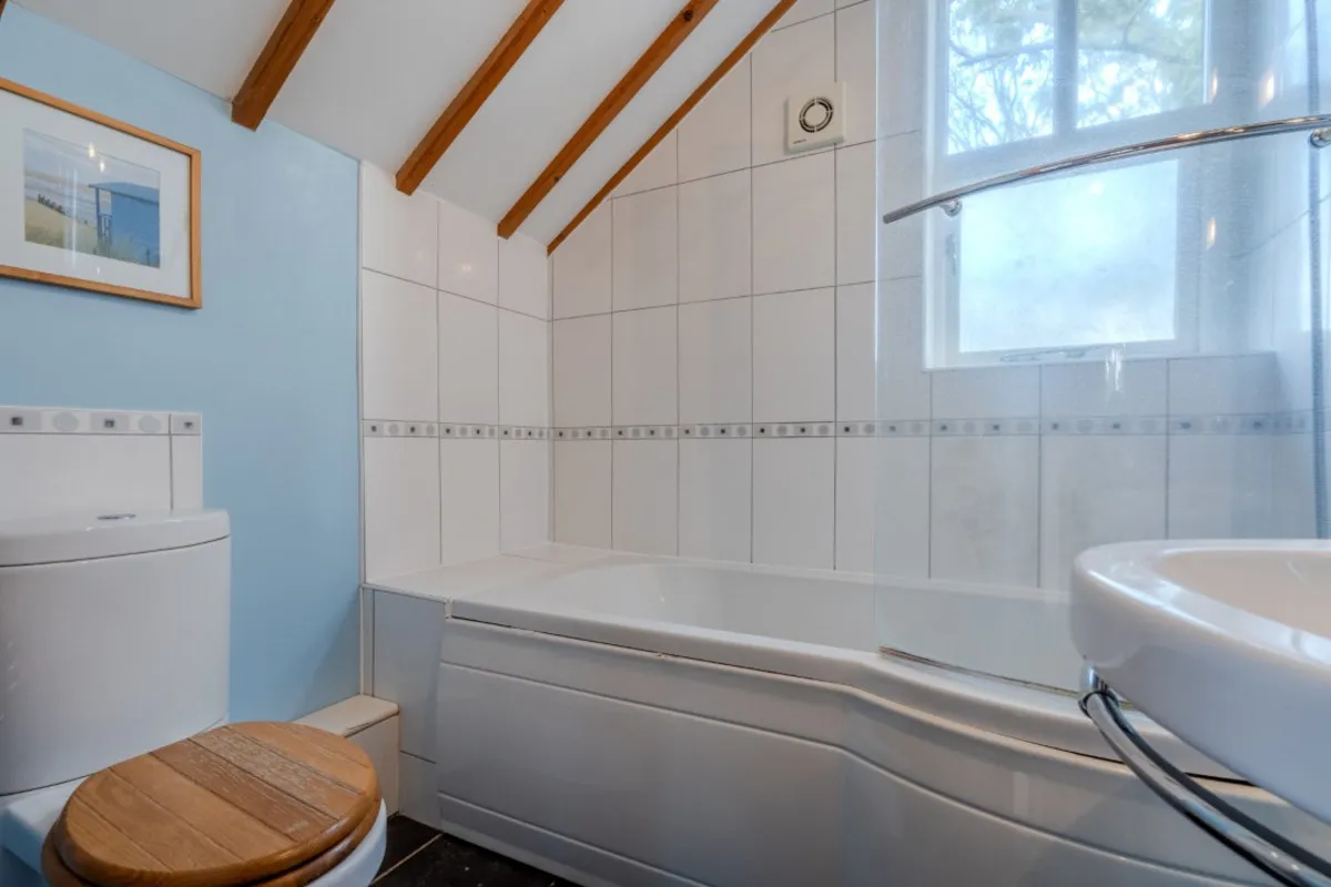 The Turnpike, Bunwell, NR16, photo 20