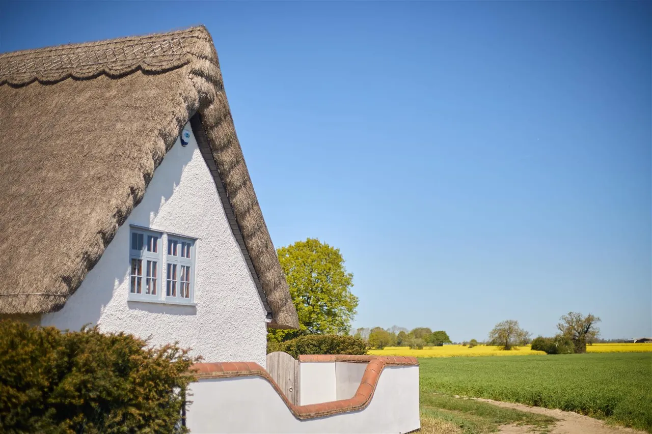 Heath Road, Winfarthing, IP22, photo 20