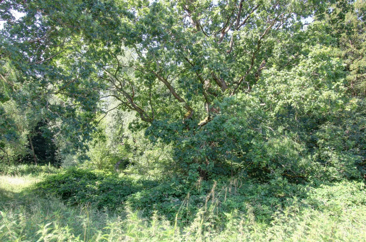 Meadowside, Pulborough, RH20, photo 23