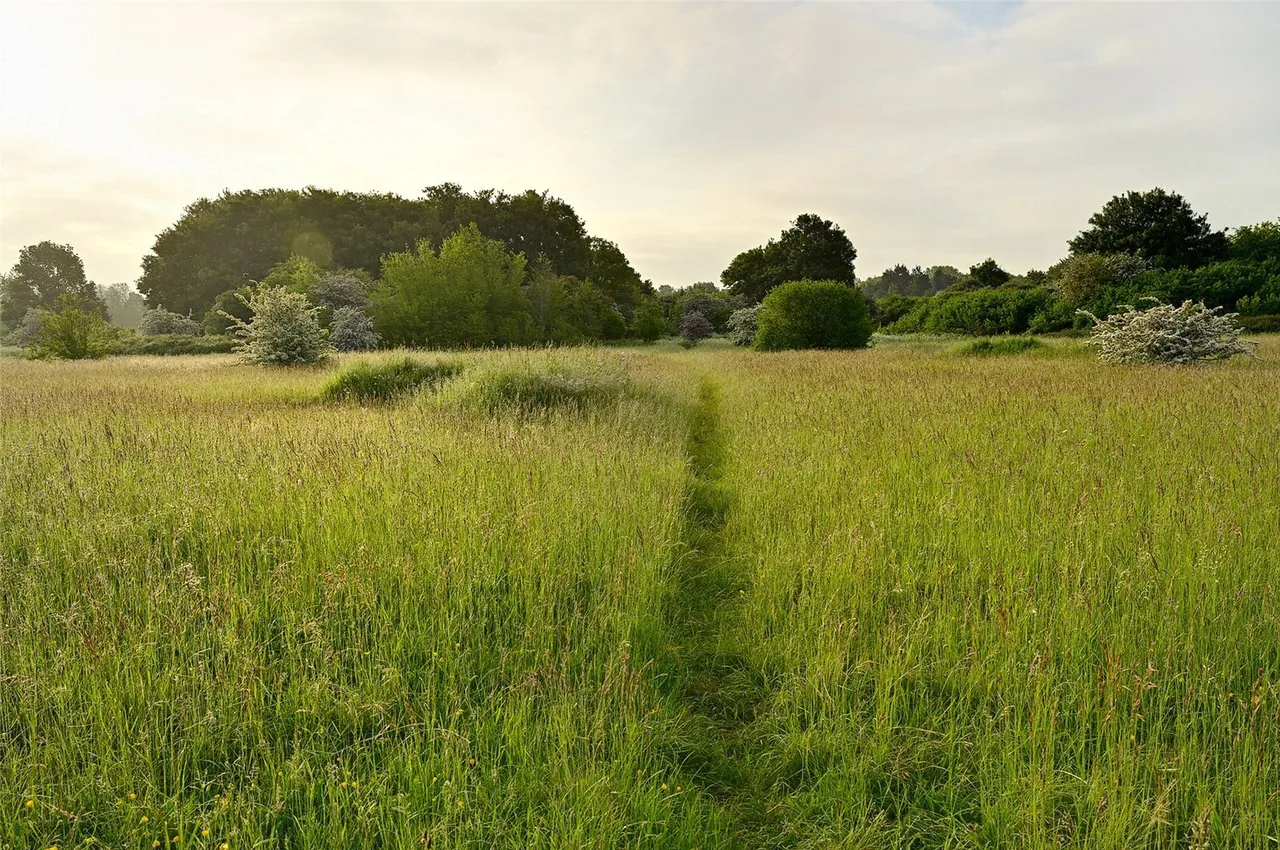 Sunkist Way, Wallington, SM6, photo 6