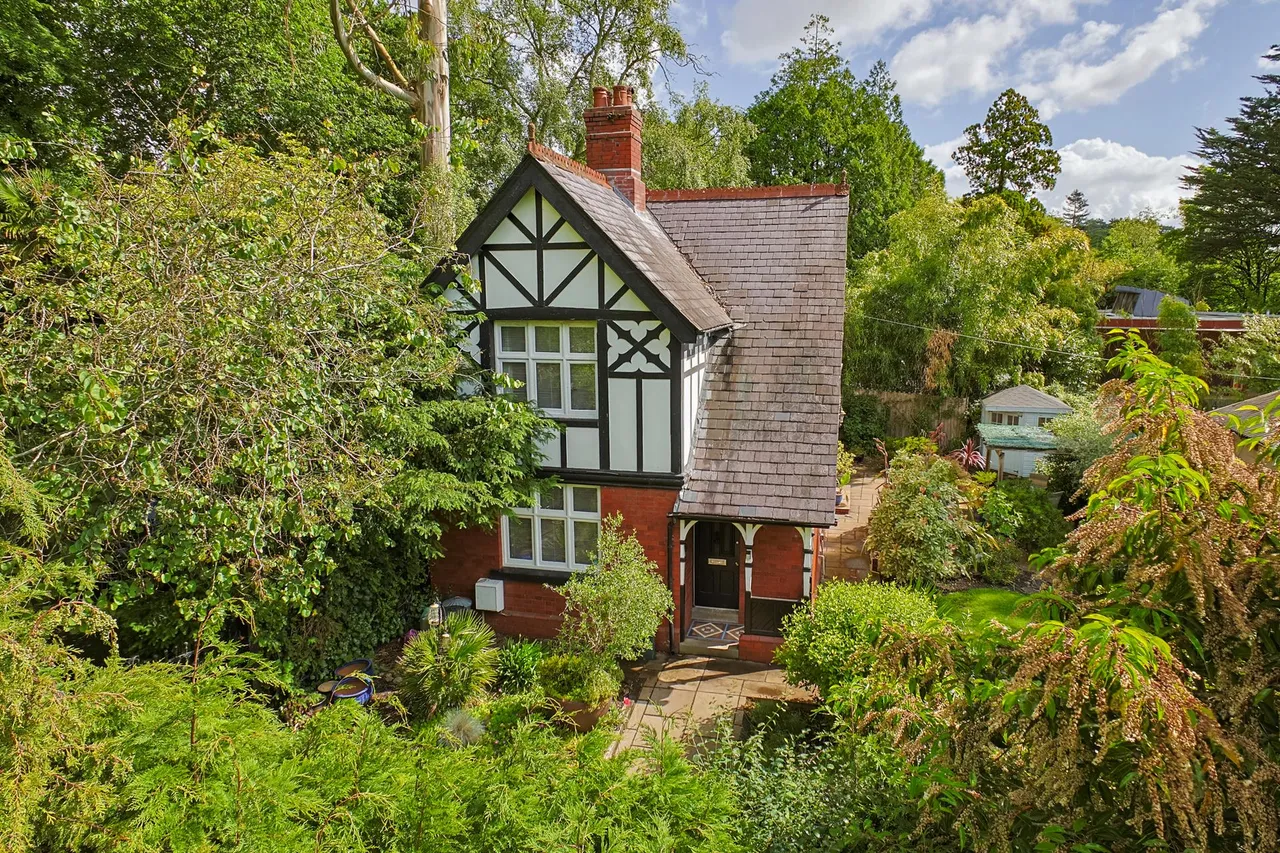 The Lodge, Brynmill Park, photo 19