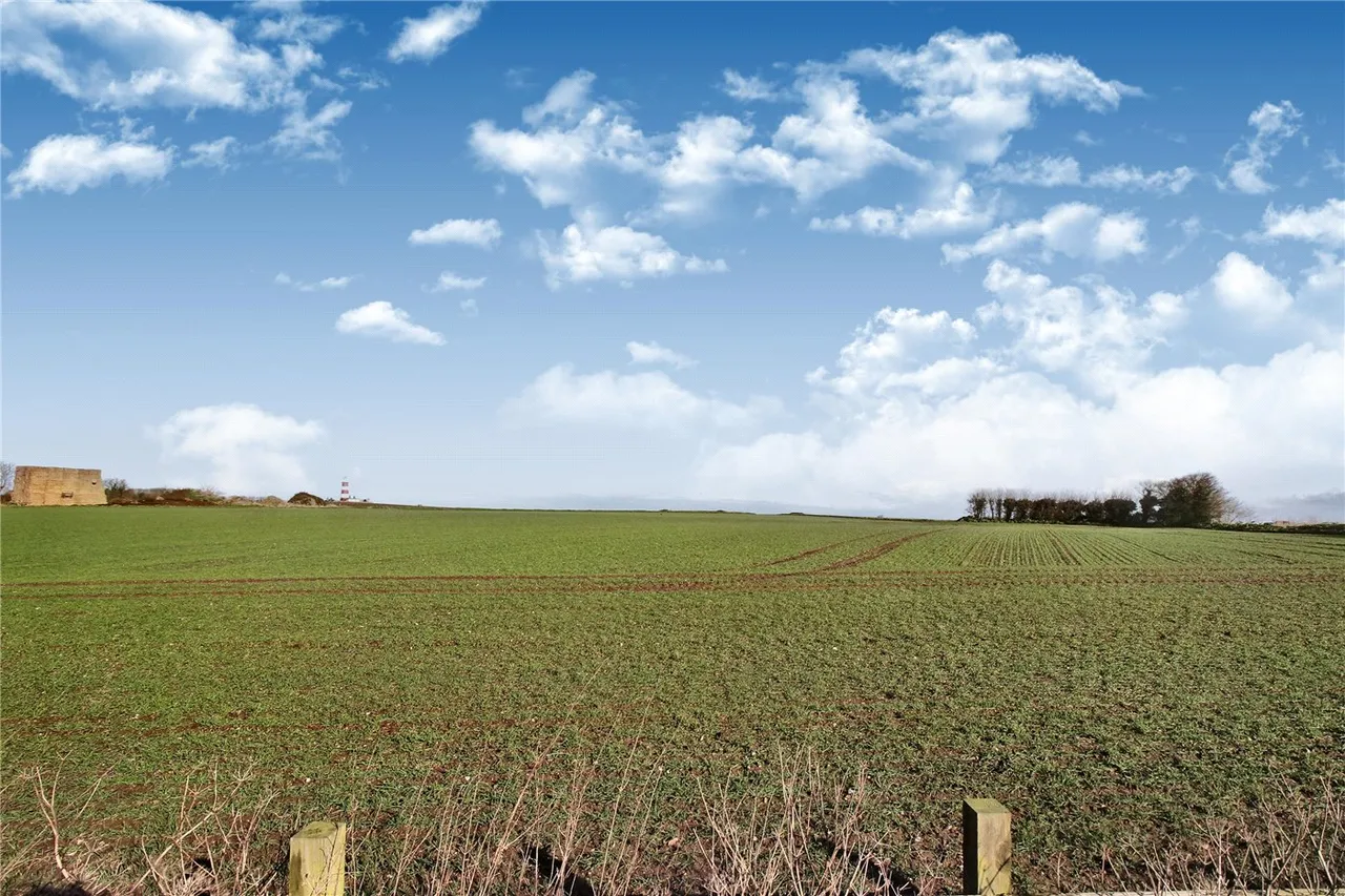 Whimpwell Green, Happisburgh, Norwich, Norfolk, NR12, photo 8