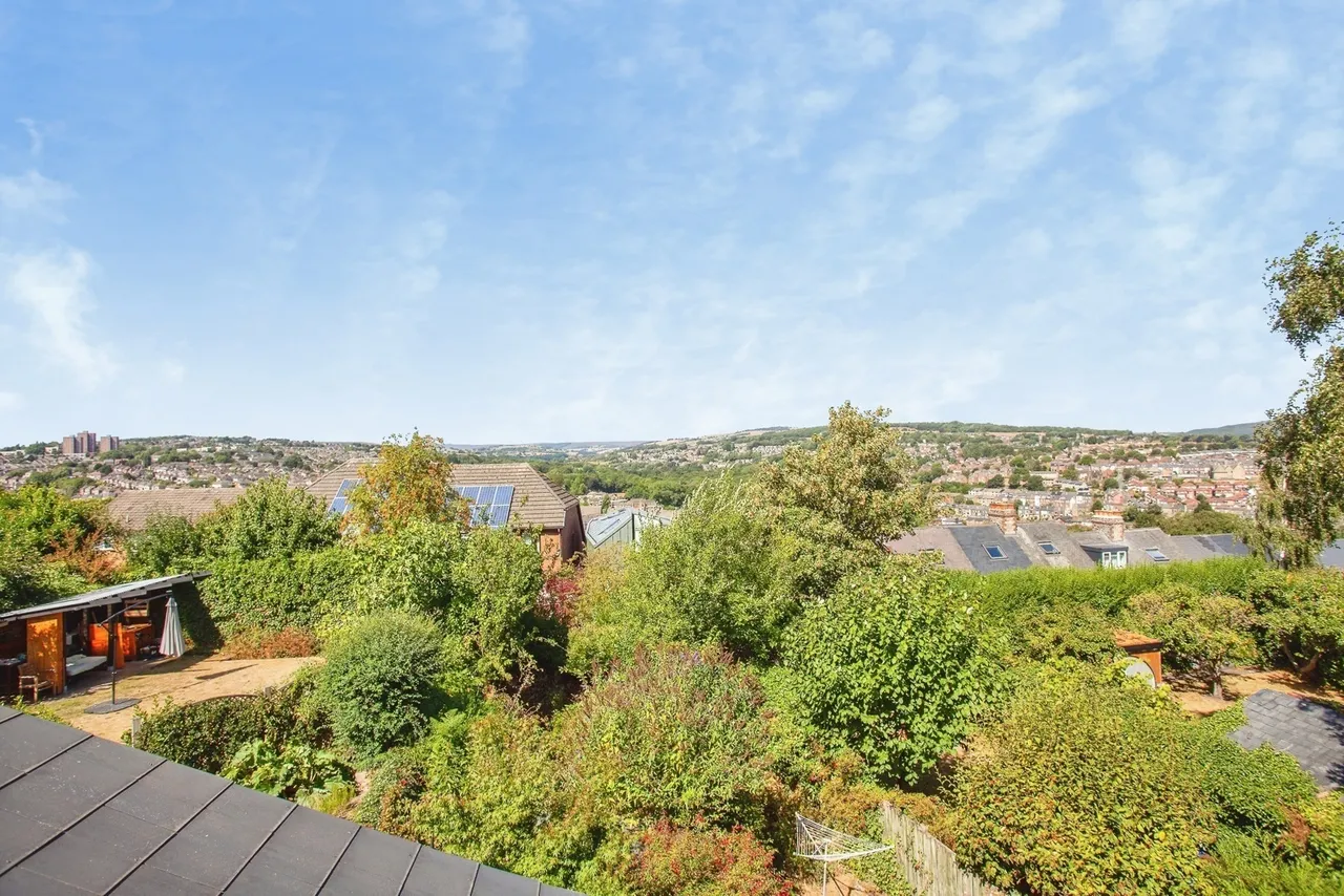 Hawthorne Street, Sheffield, S6, photo 12