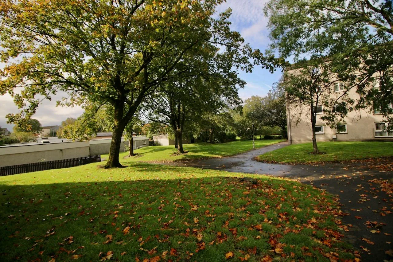Cedar Road, Cumbernauld, G67 3AS, photo 13