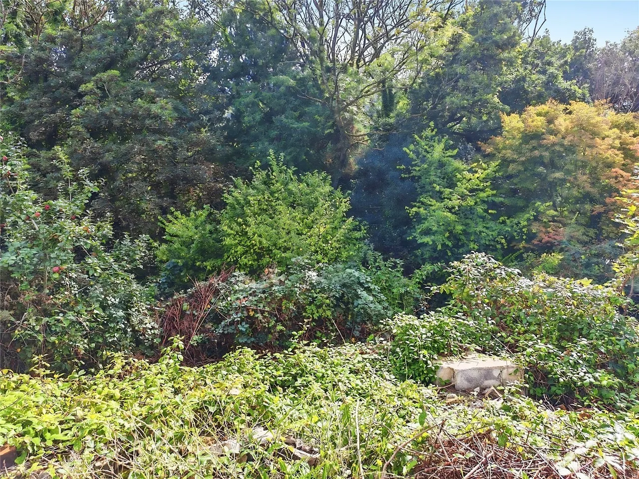 New Road, Ynysmeudwy, SA8, photo 6
