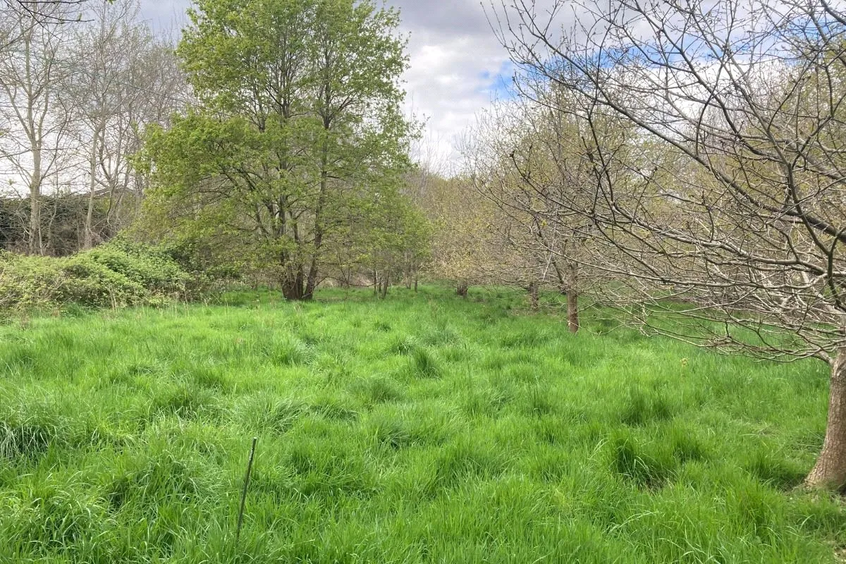 Rosemary Lane, Blackwater, GU17 0EP, photo 6