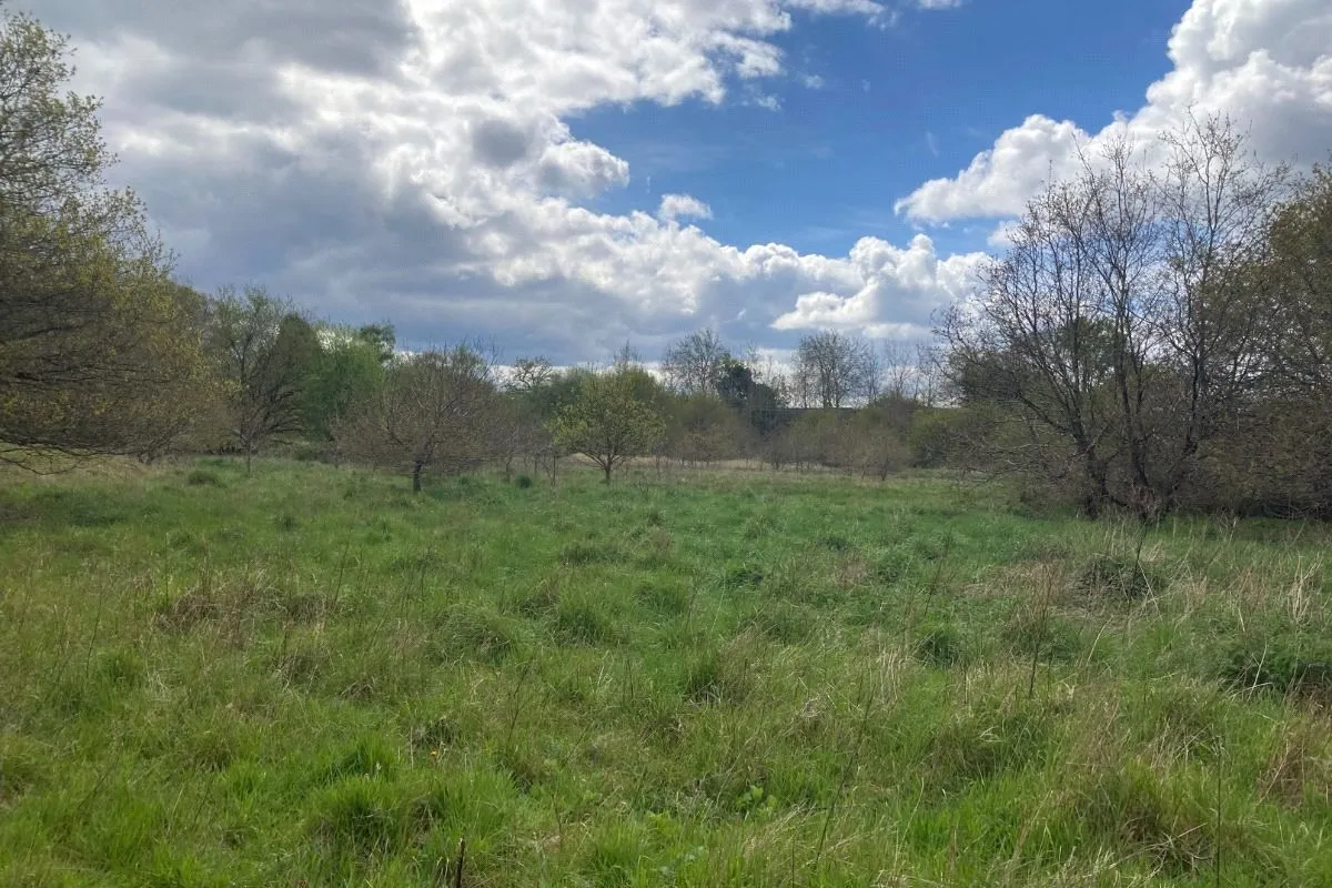 Rosemary Lane, Blackwater, GU17 0EP, photo 7
