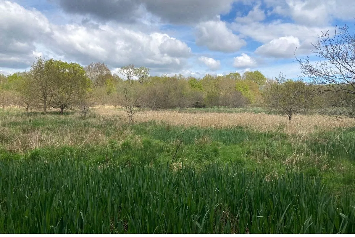 land for sale — Rosemary Lane, Blackwater, GU17 0EP
