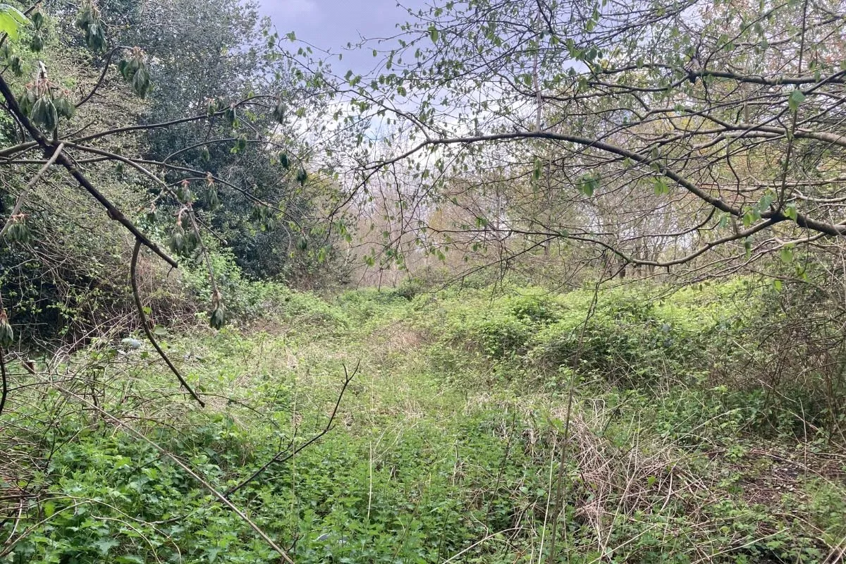 Rosemary Lane, Blackwater, GU17 0EP, photo 5