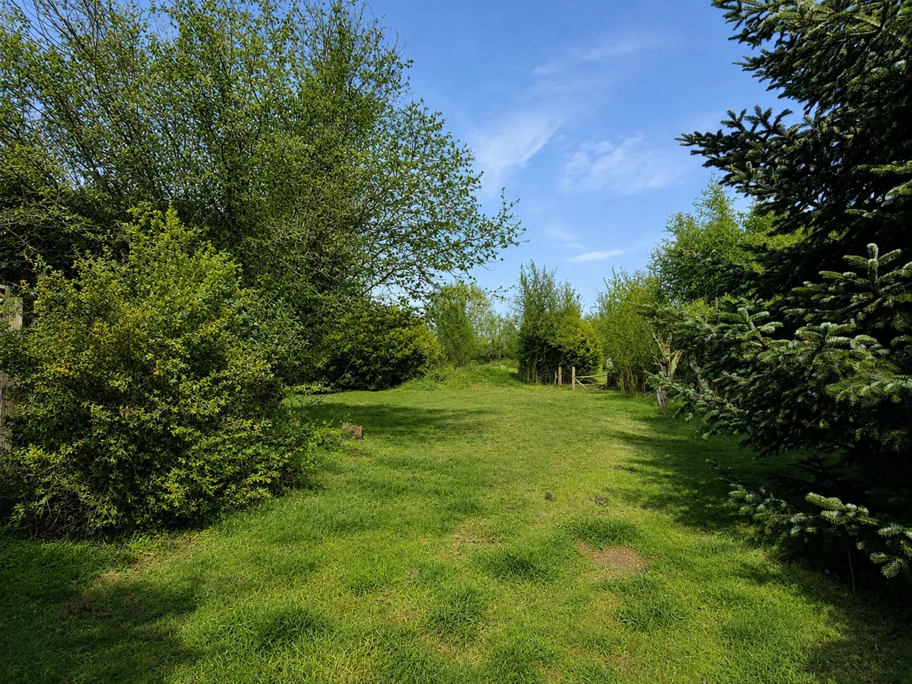 Mockbeggar, Ringwood, Hampshire, BH24 3NQ, photo 3