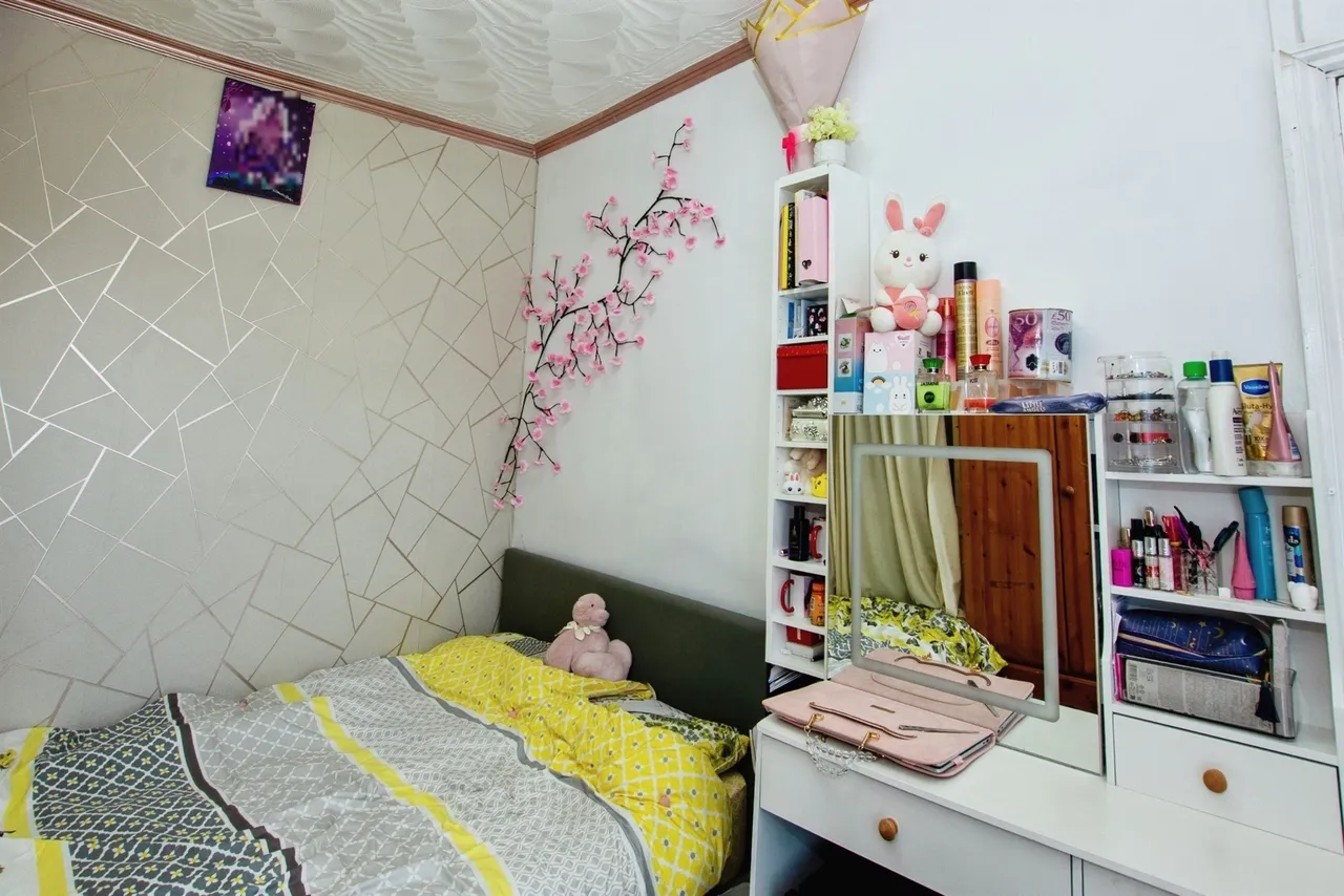 Ash Road, Birmingham, B8, photo 13