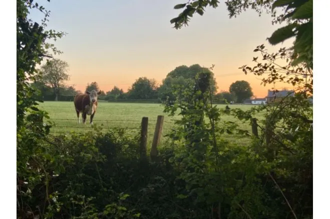 Homeside Farm, Canterbury, CT4, photo 16