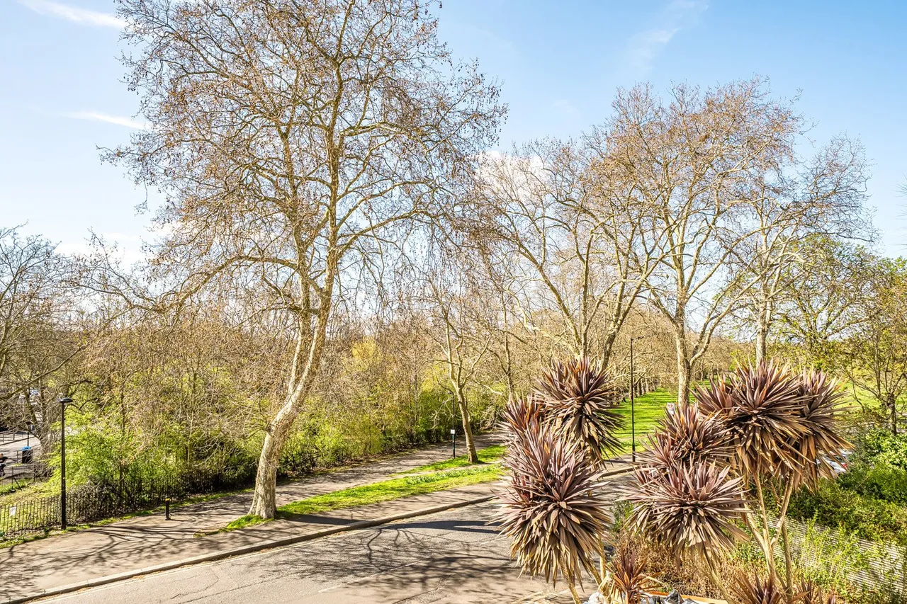 Peckham Rye, SE15, photo 9