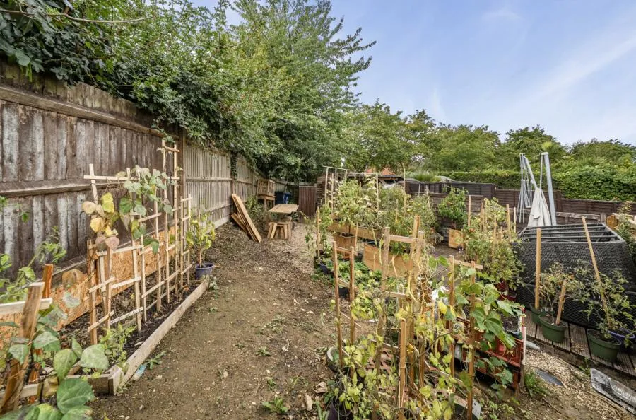 Columbine Gardens, Greater Leys, OX4, photo 8