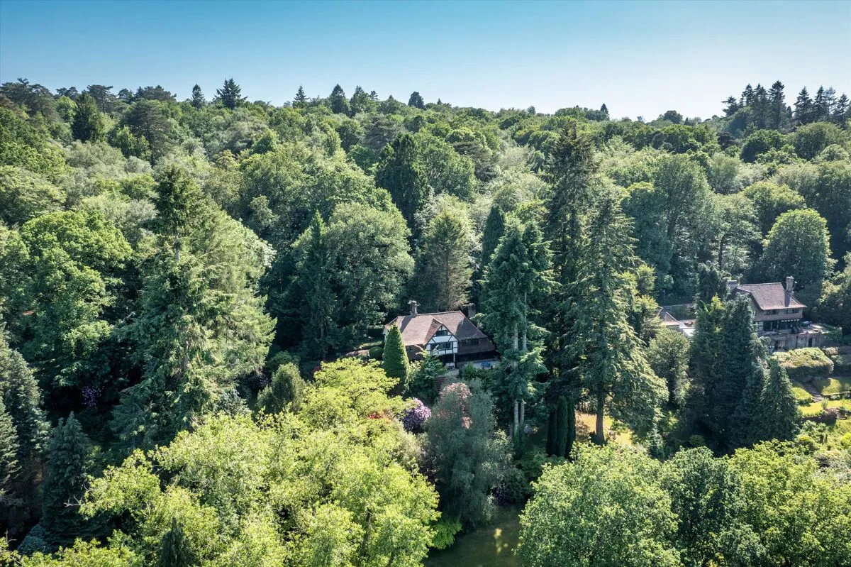 Petworth Road, Haslemere, GU27, photo 35