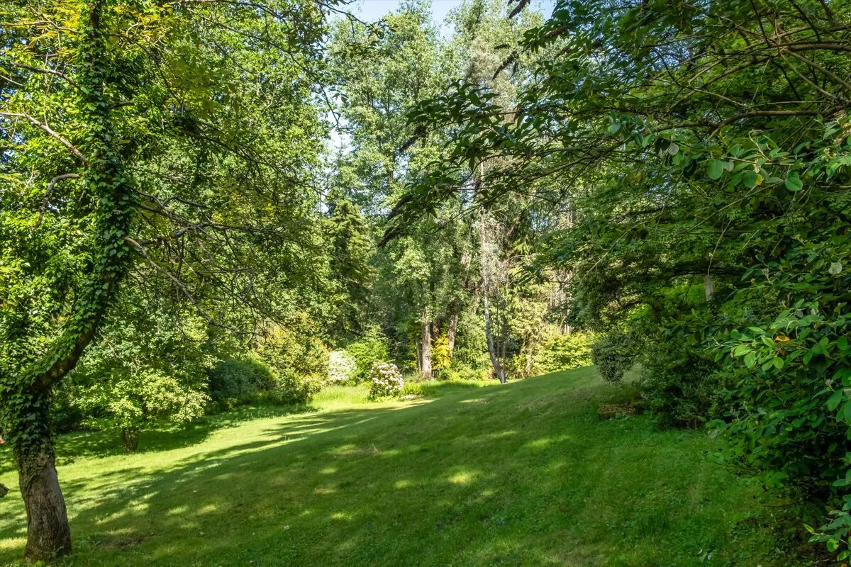 Petworth Road, Haslemere, GU27, photo 30