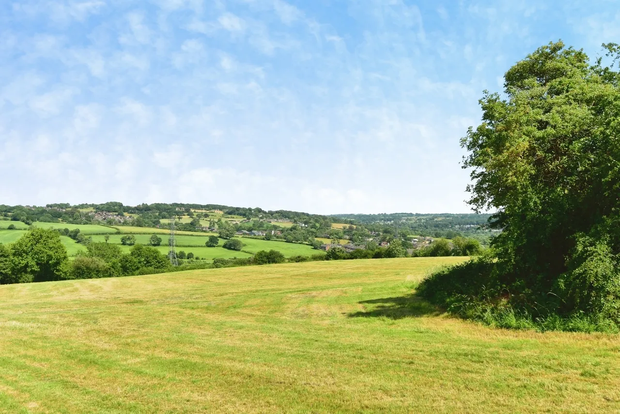 Gorsey Bank, Stoke-On-Trent, ST6, photo 24