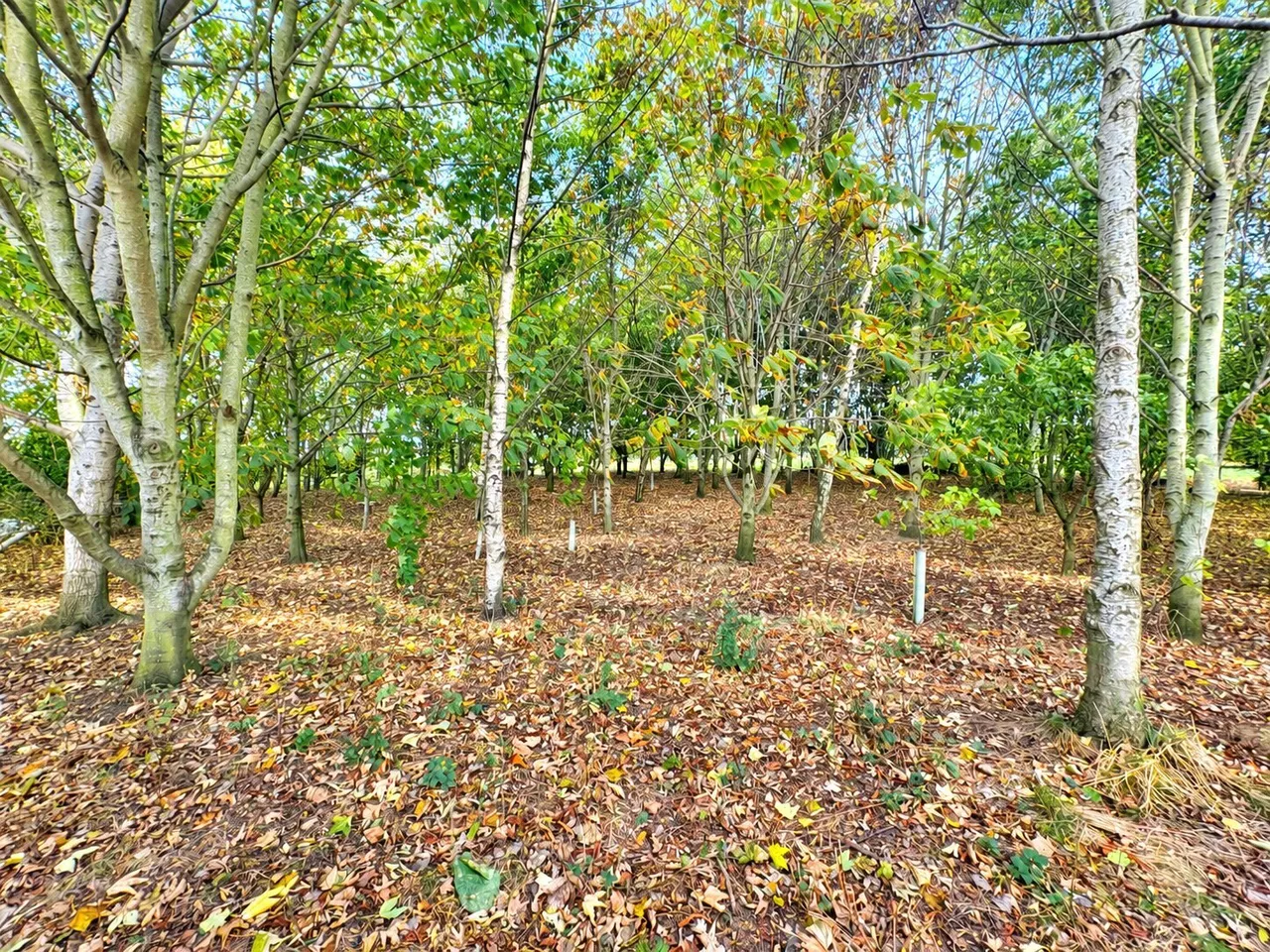 Danby Wiske Road, Northallerton, DL6, photo 8