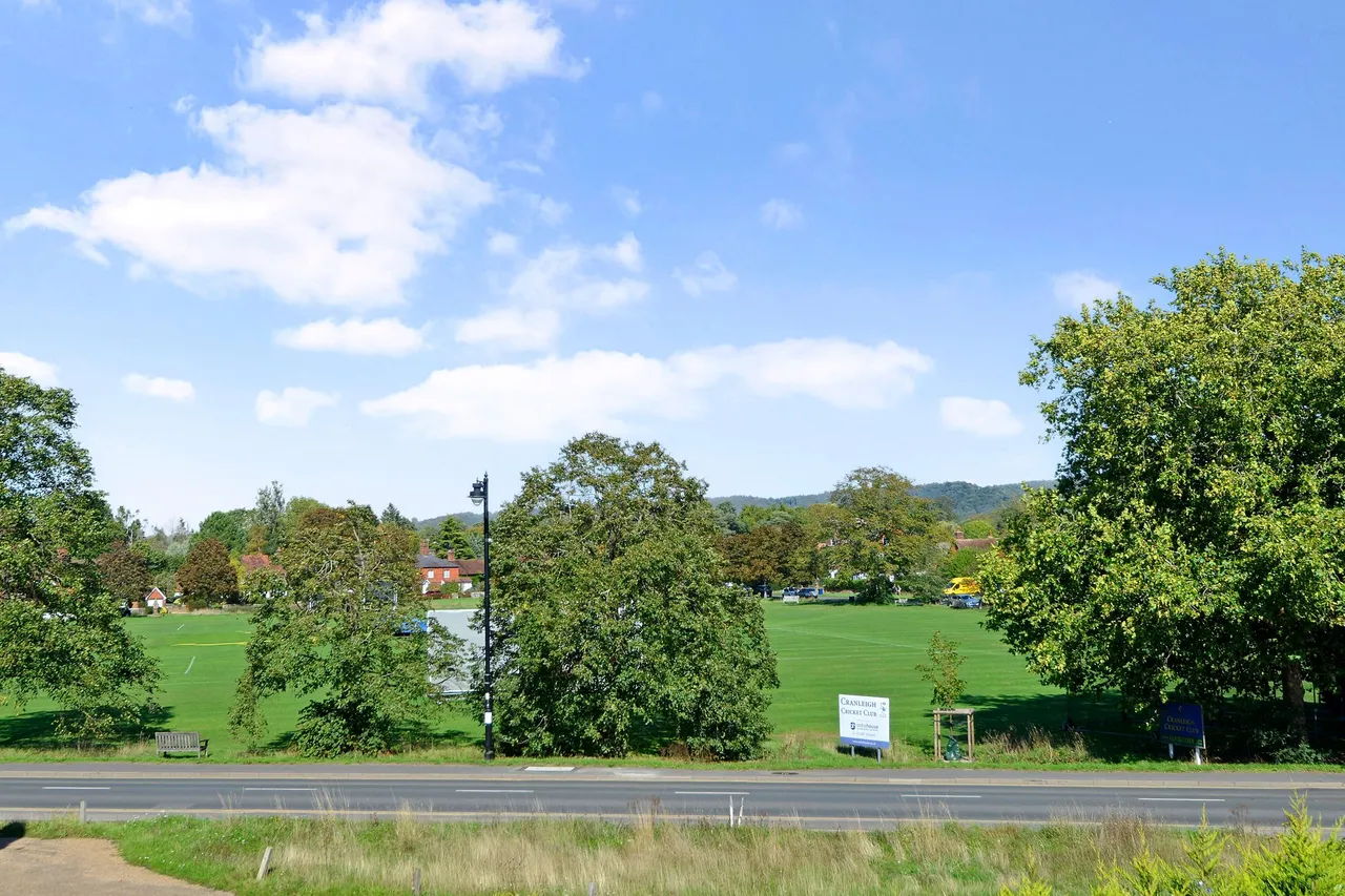 The Common, Cranleigh, GU6, photo 4