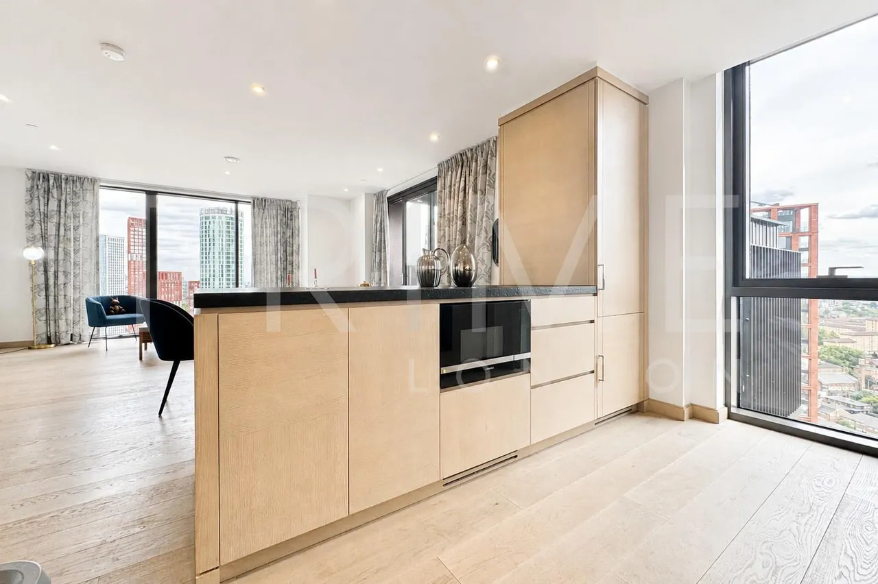 Embassy Gardens, Nine Elms, SW11, photo 10