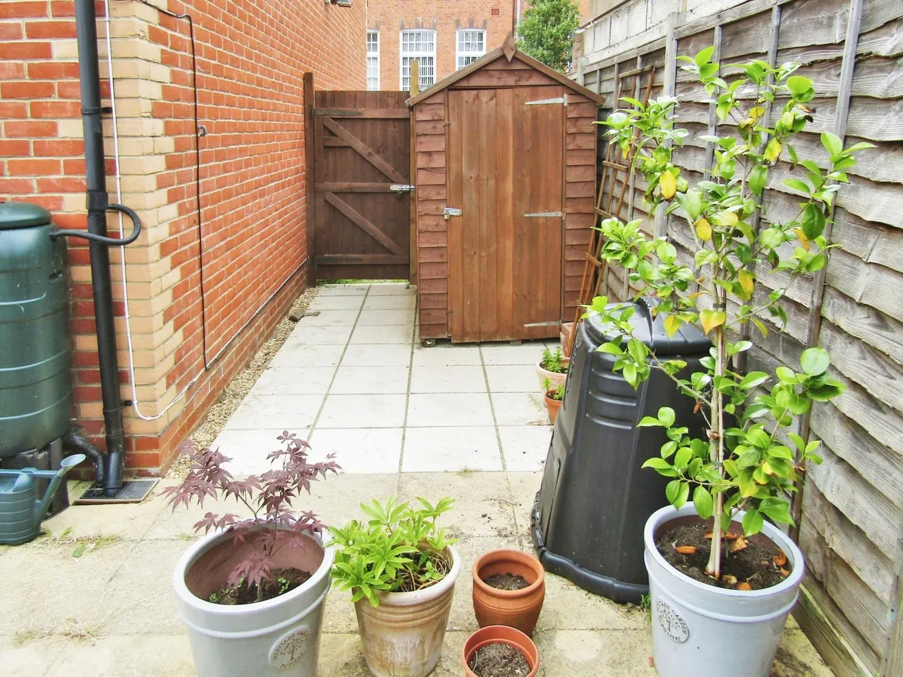 Wilson Road, Reading, RG30, photo 11