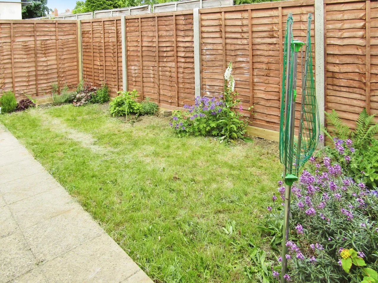 Wilson Road, Reading, RG30, photo 10