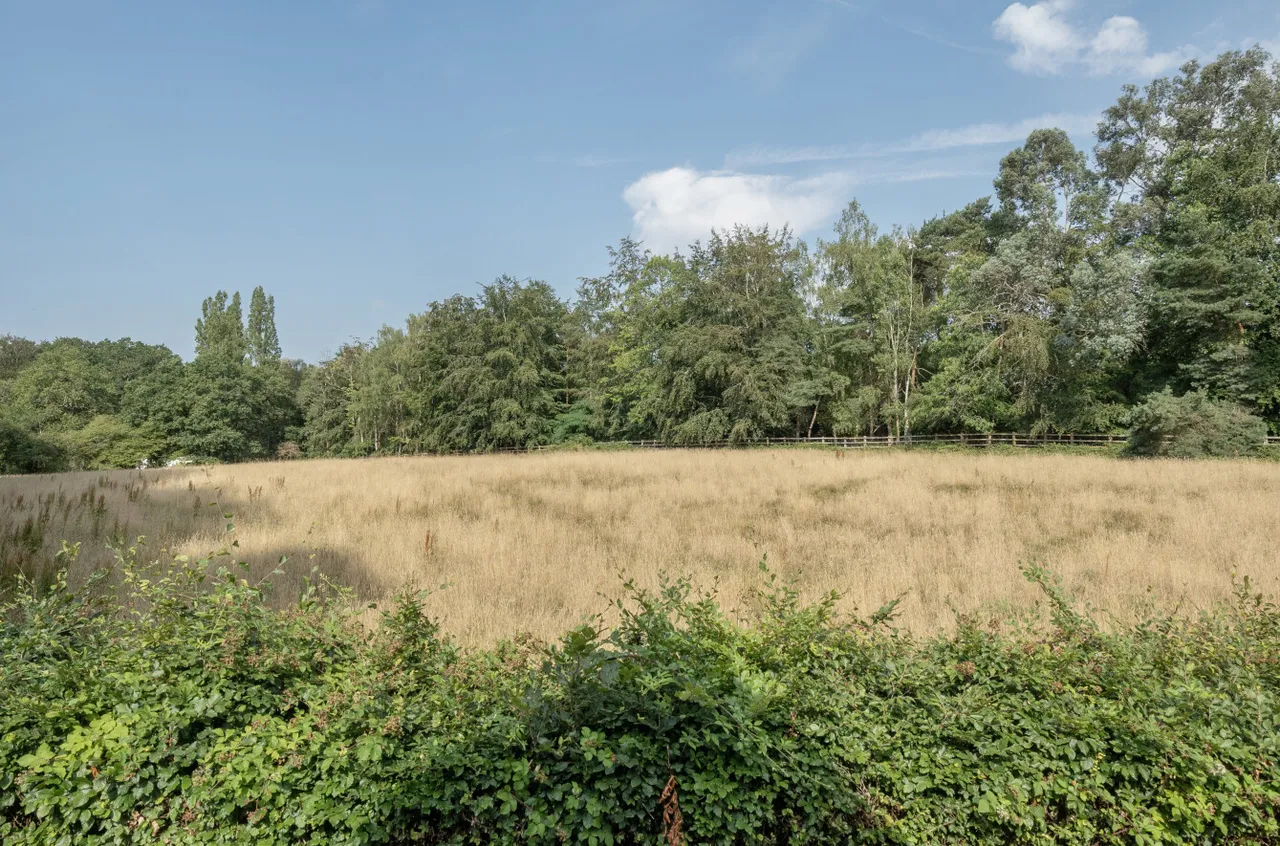 Highams Lane, Chobham, Woking, Surrey, GU24 8TD, photo 8