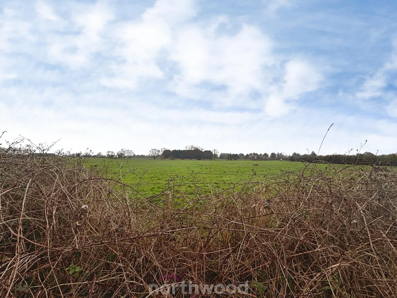 Mosscroft Lane, Hatfield Woodhouse, DN7, photo 18