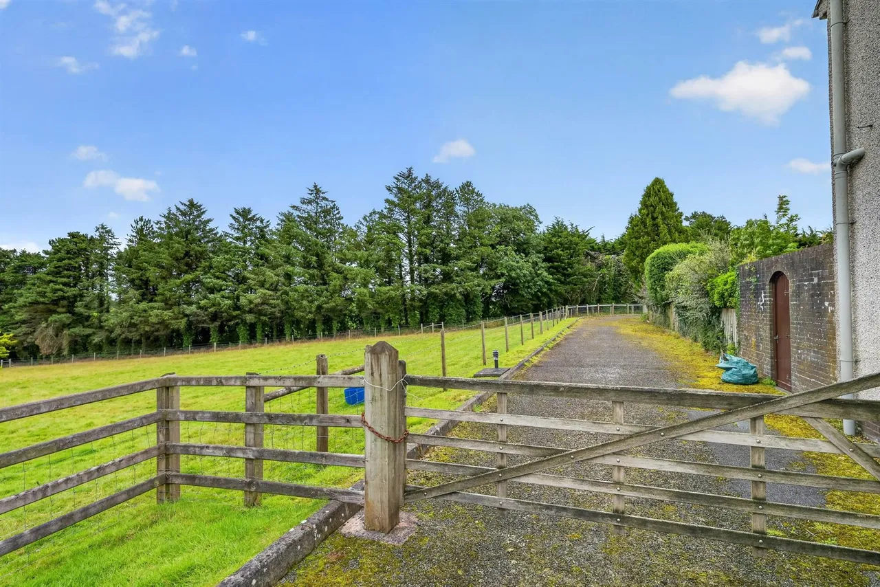 Saintfield Road, Carryduff, BT8, photo 49