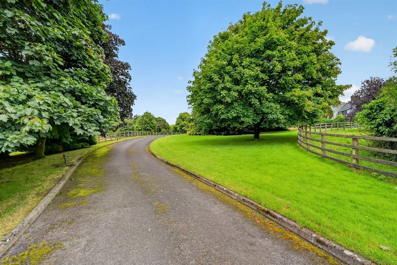 Saintfield Road, Carryduff, BT8, photo 57