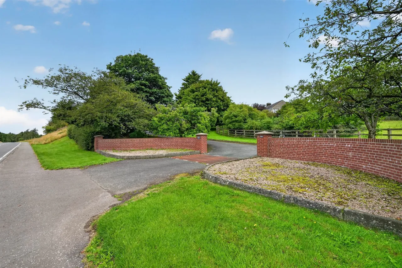 Saintfield Road, Carryduff, BT8, photo 56