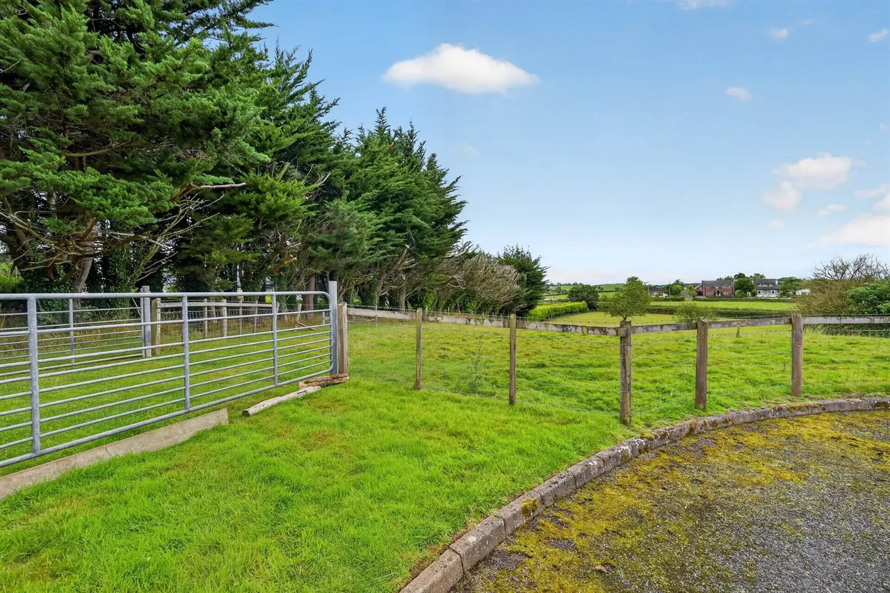 Saintfield Road, Carryduff, BT8, photo 47