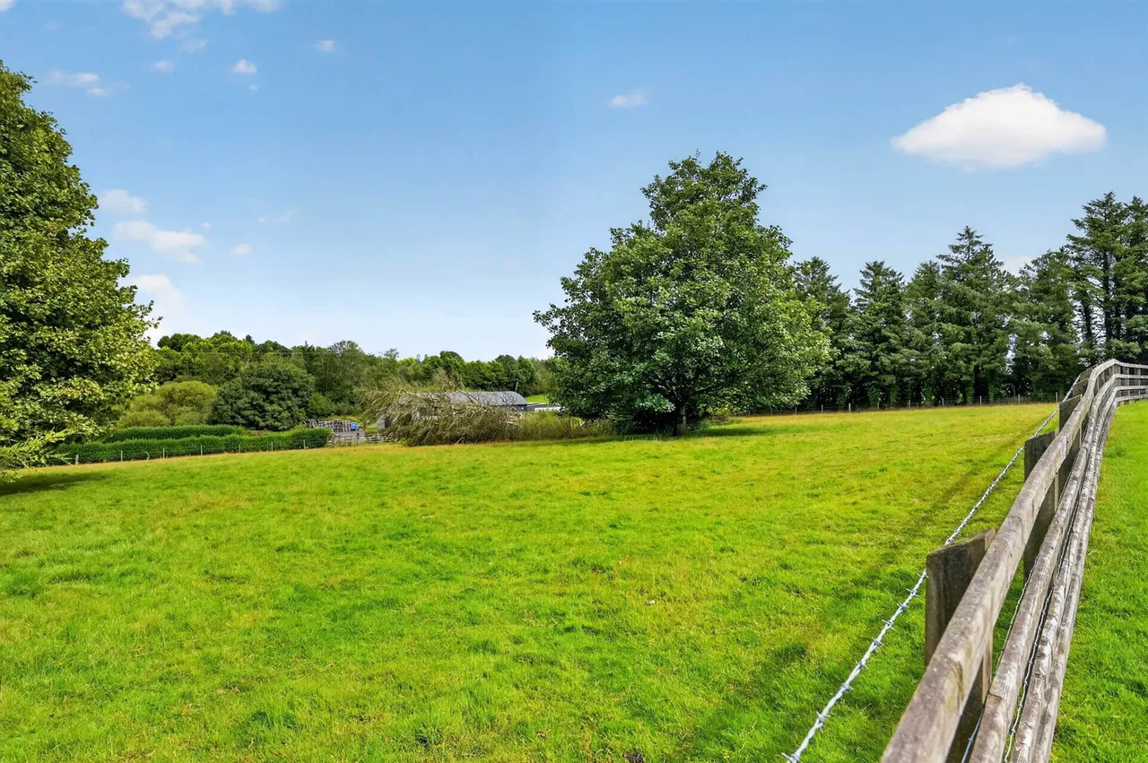 Saintfield Road, Carryduff, BT8, photo 58