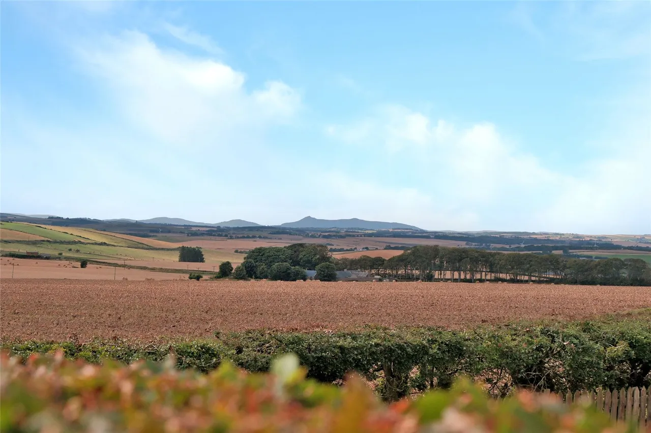 Tillyburn, Blindburn, AB41, photo 28