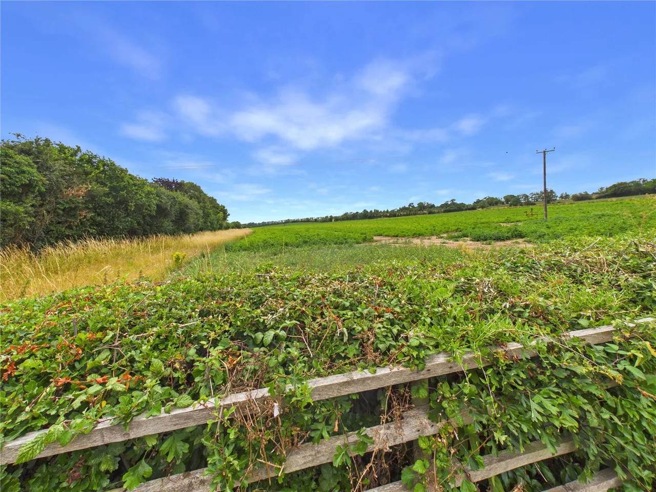 Charsfield, Woodbridge, IP13, photo 19