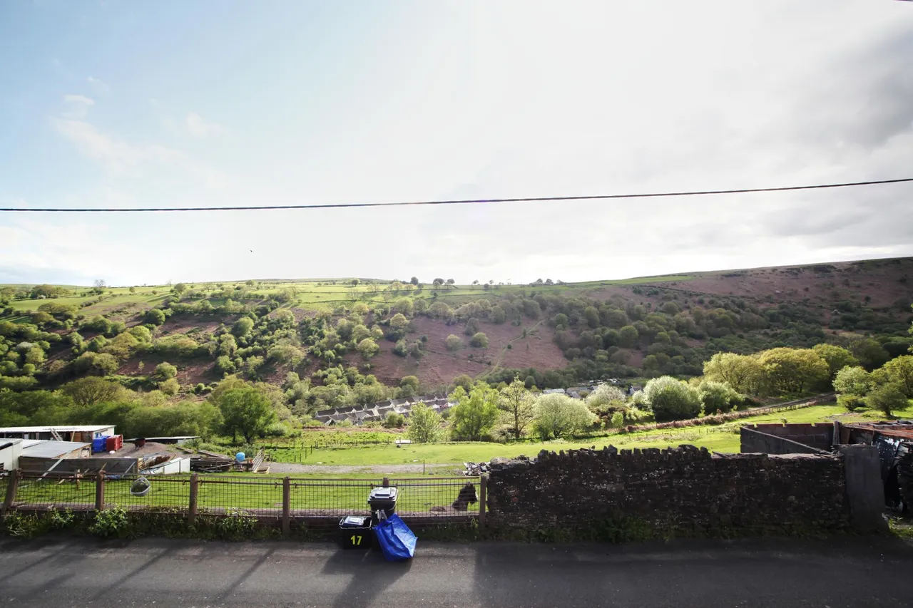 Bedlinog Terrace, Treharris, CF46, photo 27